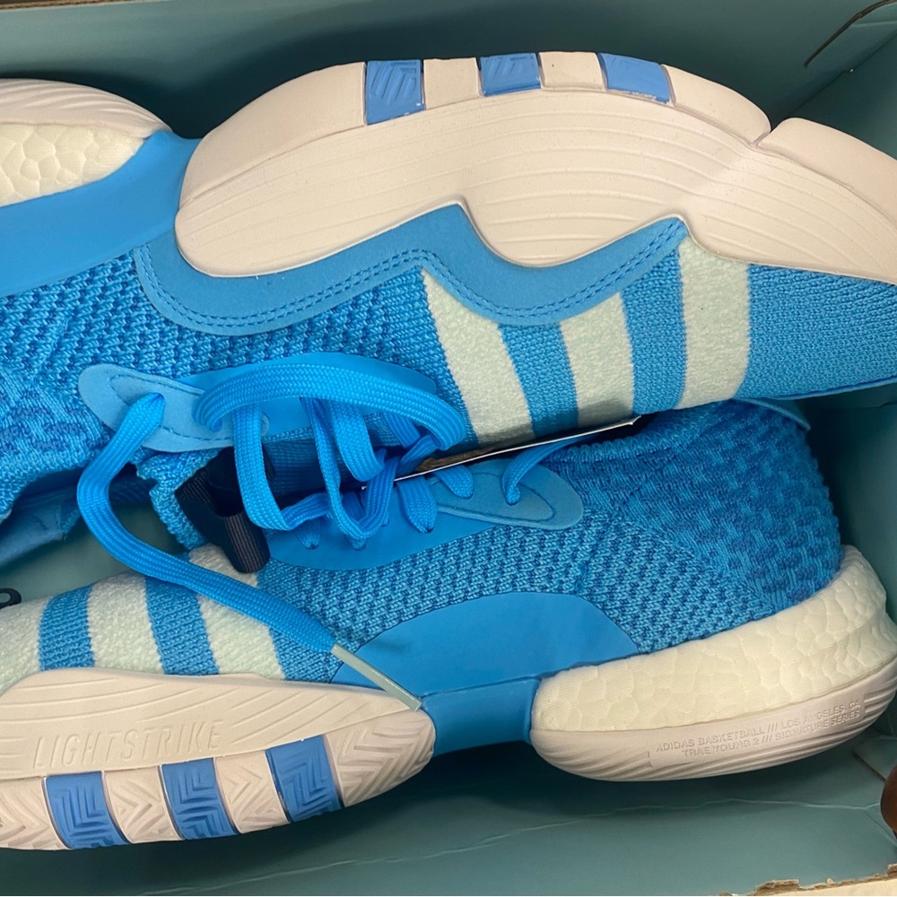 Trae young 2 size 14